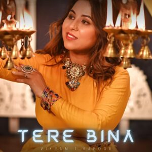 Read more about the article Tere Bina-1 (Episode Ready for Sale)Uncut.